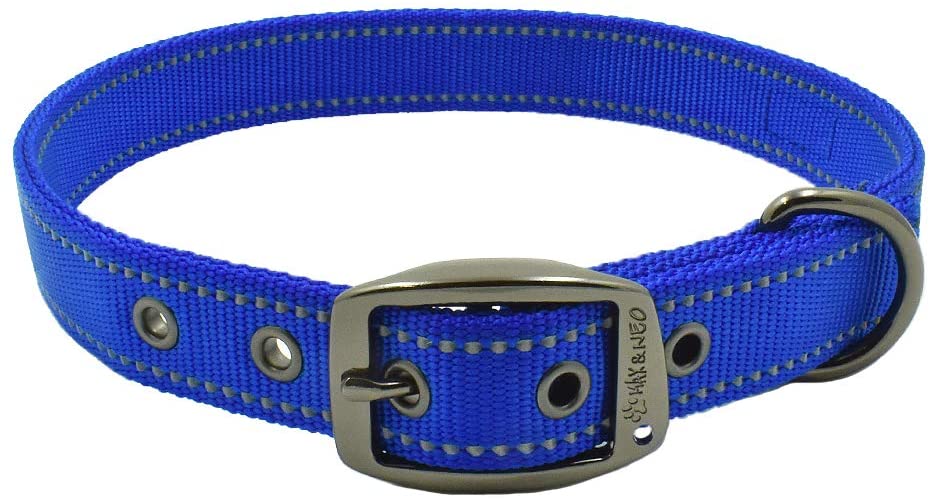 Max and Neo Dog Collar