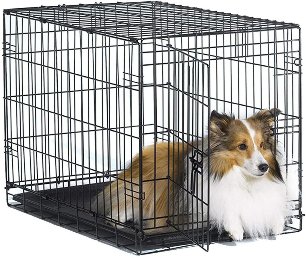 New World Pet Products Folding Metal Dog Crate