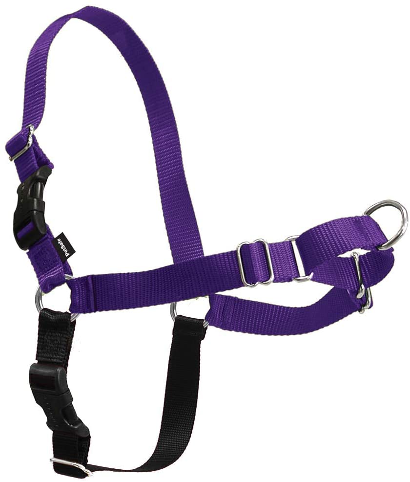 PetSafe Dog Harness