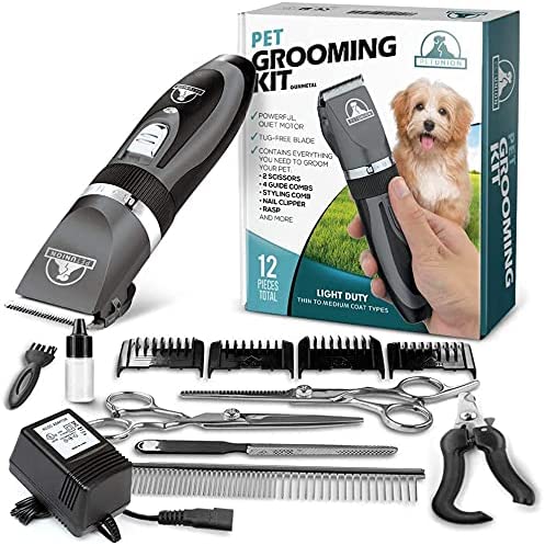 Professional Dog Grooming Kit