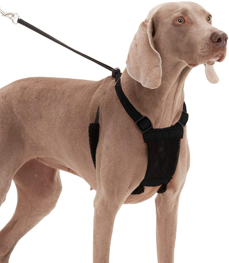 Sporn Dog Harness