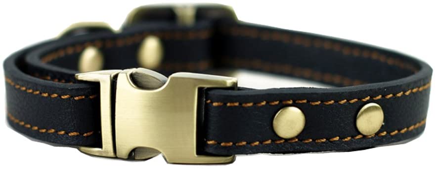 Tellpet Dog Collar