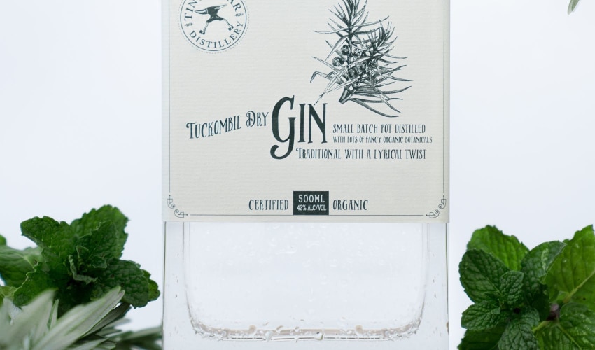 Top Gin Brands