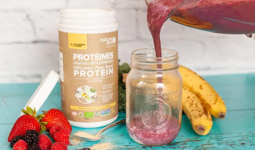 Top Vegan Protein Powders