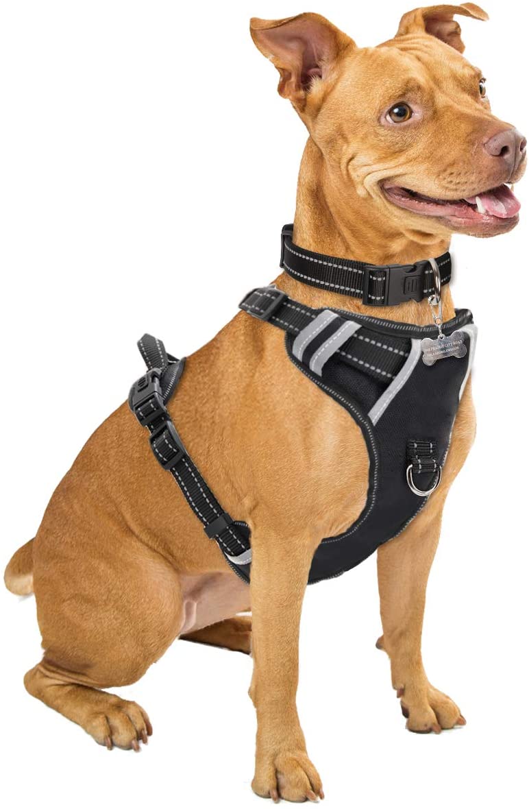 WINSEE Dog Harness