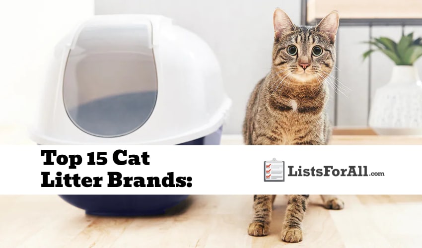 Best Cat Litter Brands