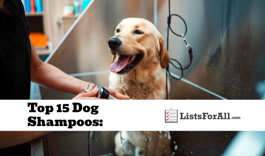 Best Dog Shampoos