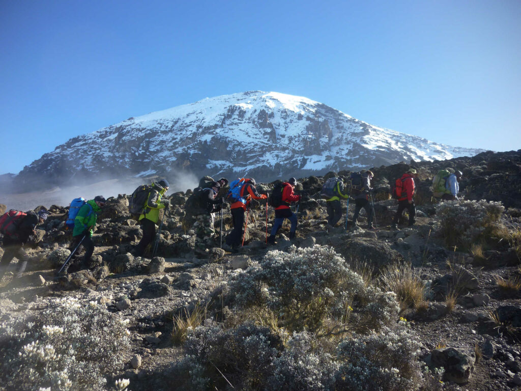 Mount Kilimanjaro Hike