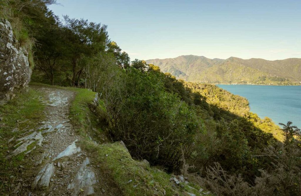 Queen Charlotte Track