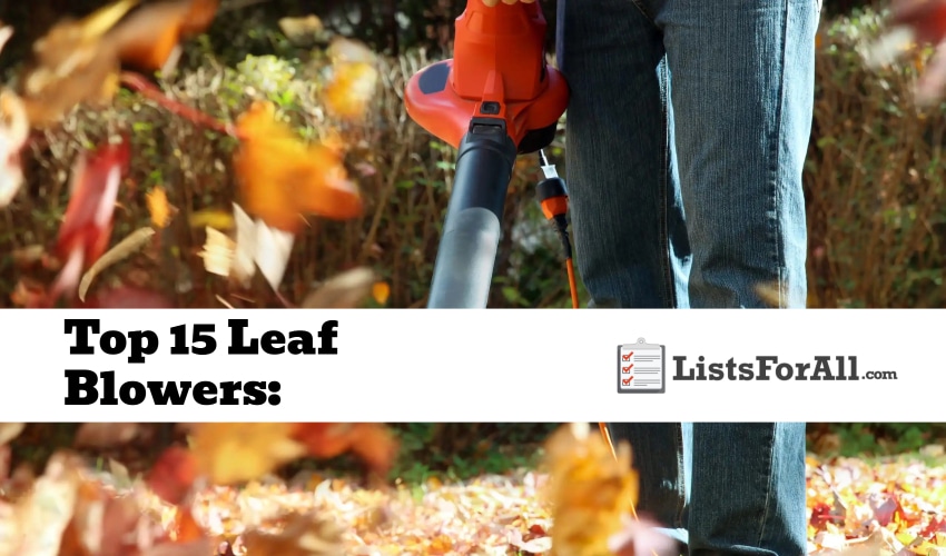 Best Leaf Blowers