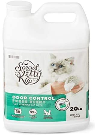 Special Kitty Cat Litter