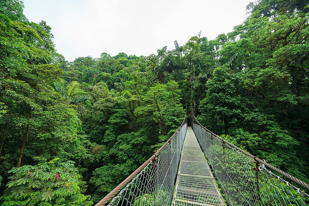 Monteverde Cloud Forest Biological Reserve, Costa Rica