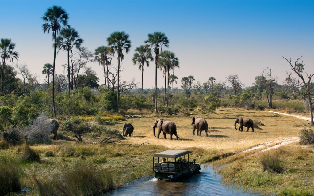 Okavango Delta, Botswana