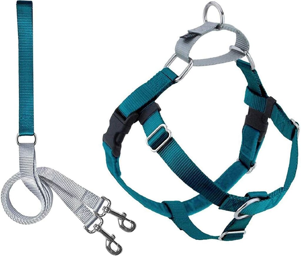 2 Hounds Design Dog Leash