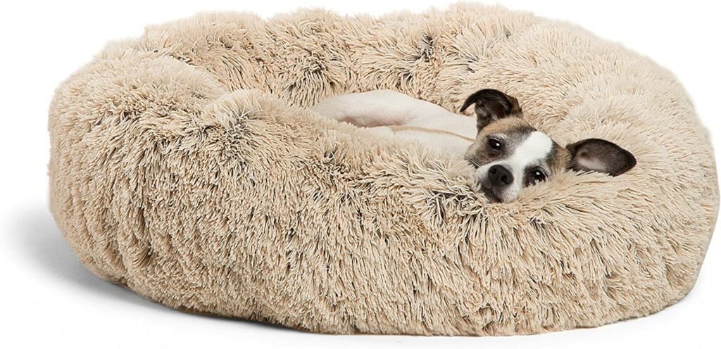 Best Friends Dog Bed