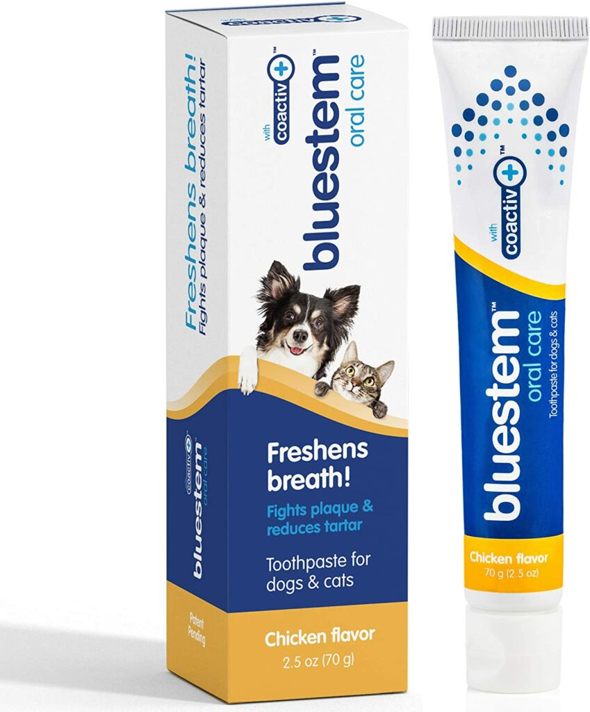 Bluestem Cat Toothpaste