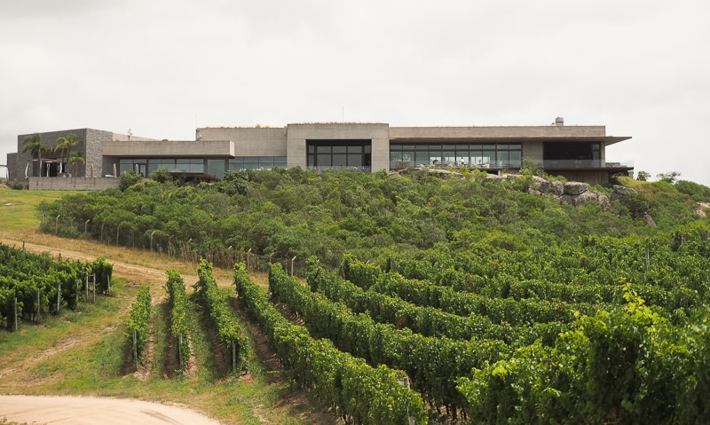 Bodega Garzón, Maldonado, Uruguay