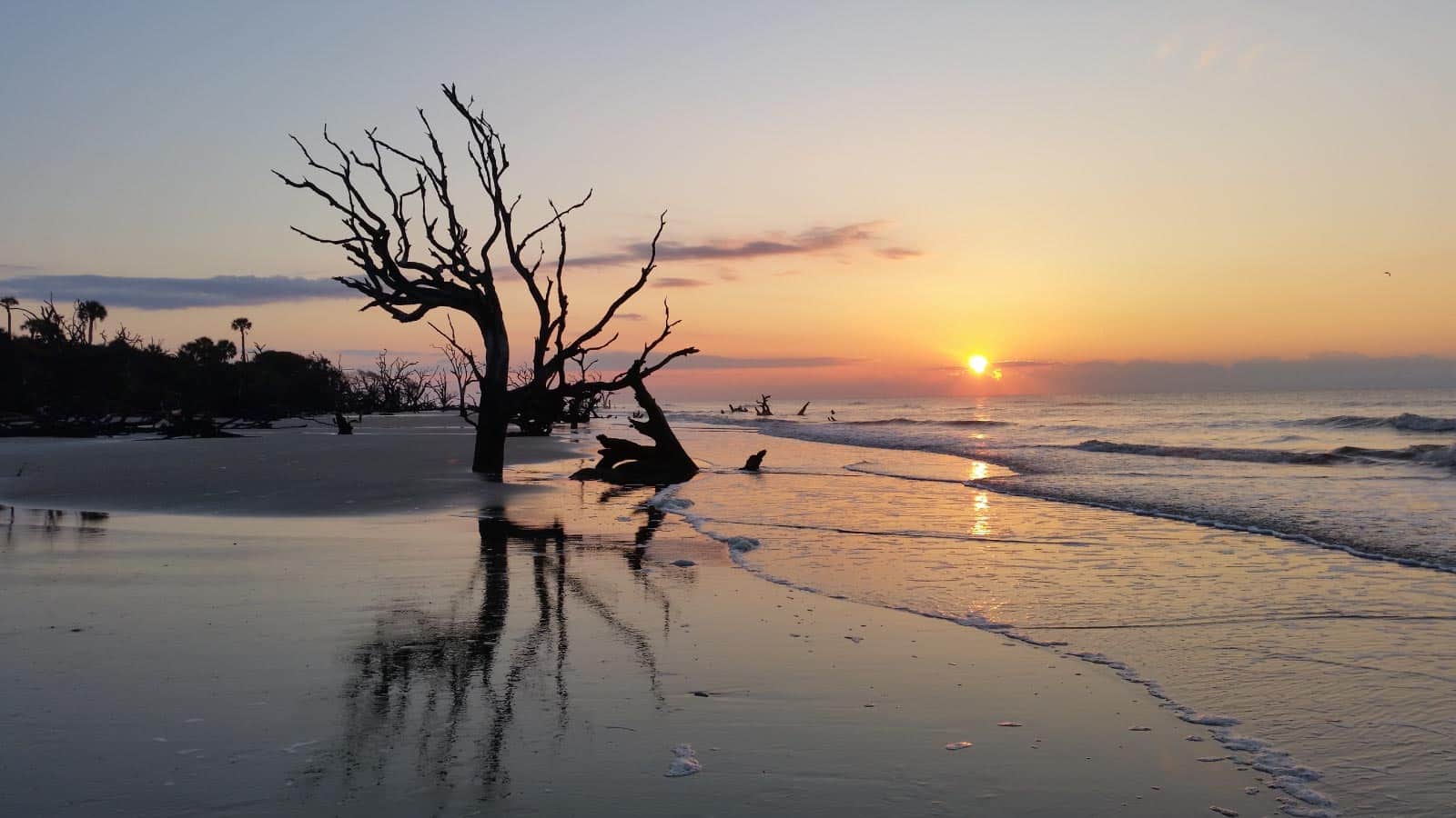 Bulls Island