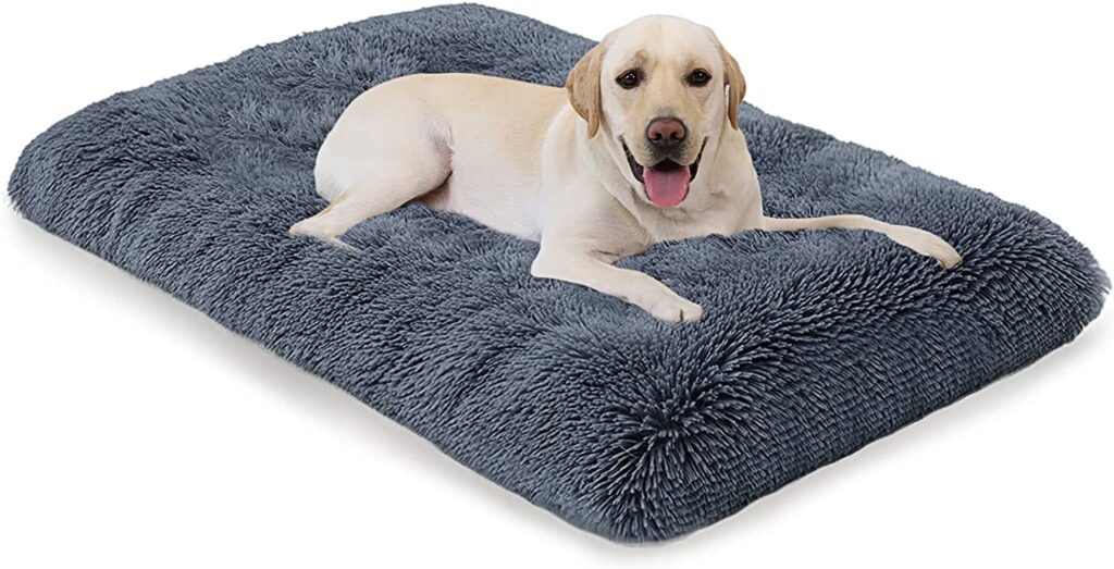 Champets Dog Bed