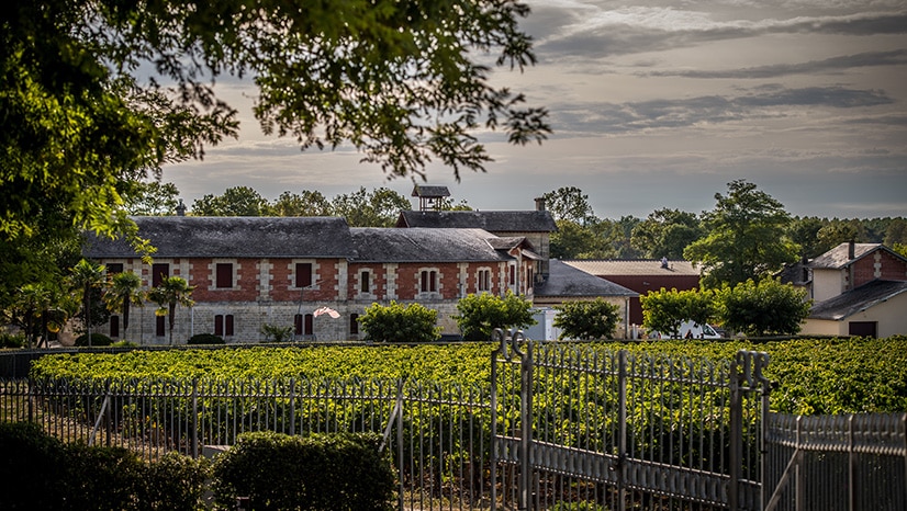 Chateau Ducru Beaucaillou, France
