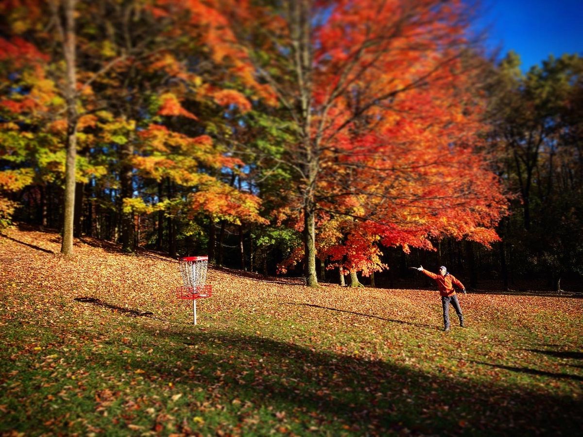 Flip City Disc Golf Course