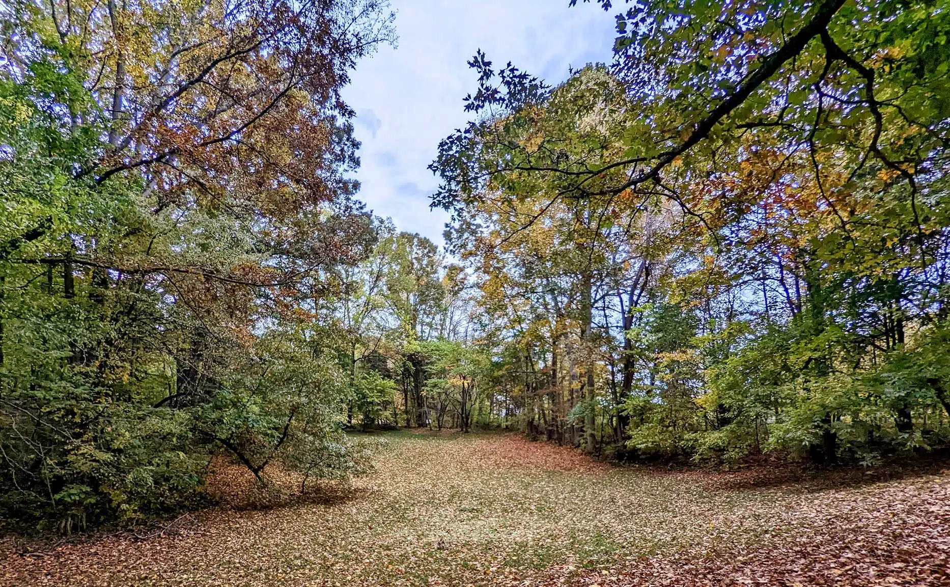 Harmon Hills Disc Golf Course