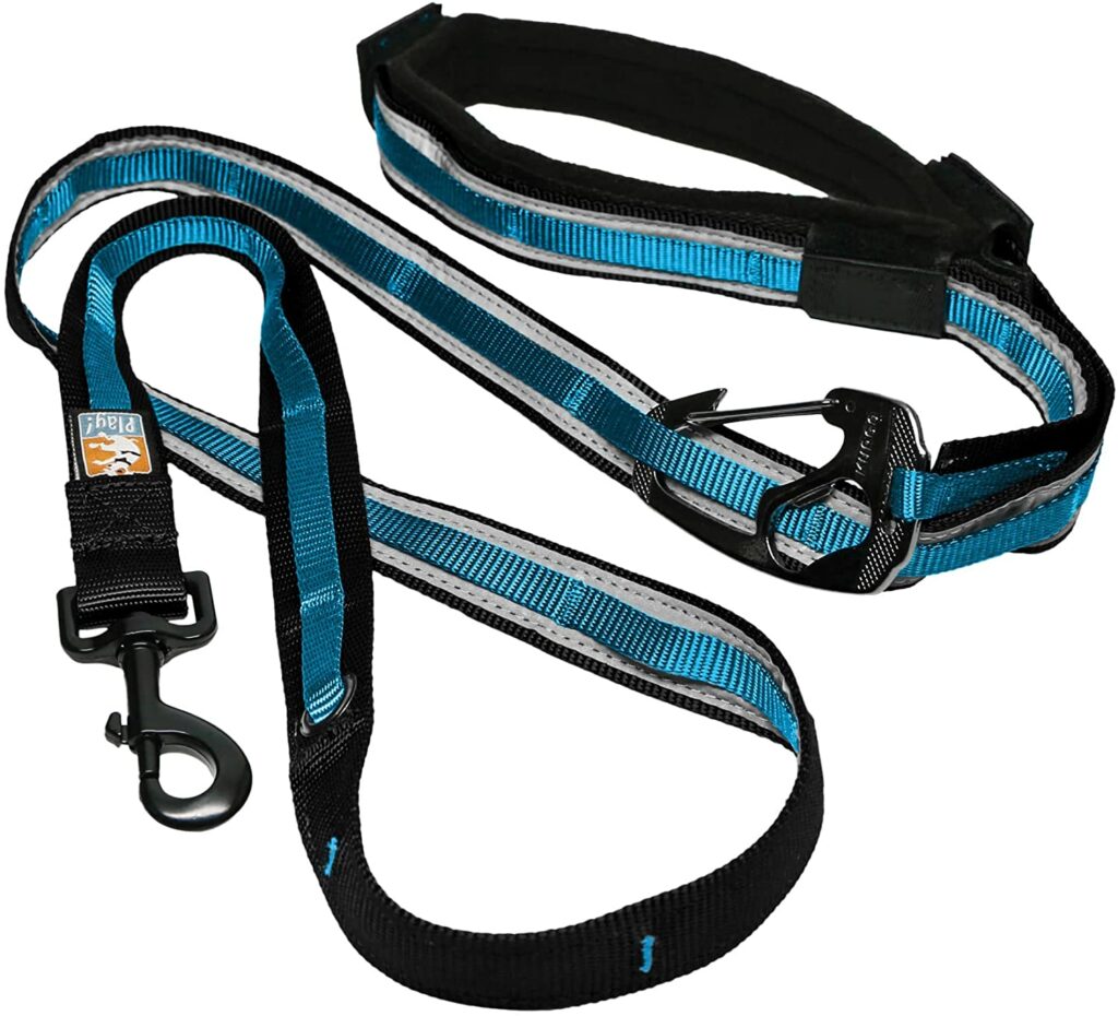 Kurgo Dog Leash