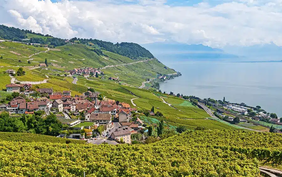 Lavaux vineyards, Switzerland