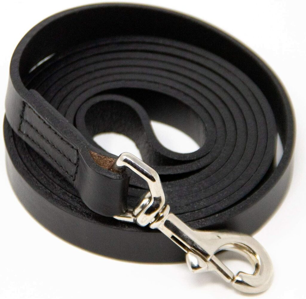 Logical Leather Dog Leash