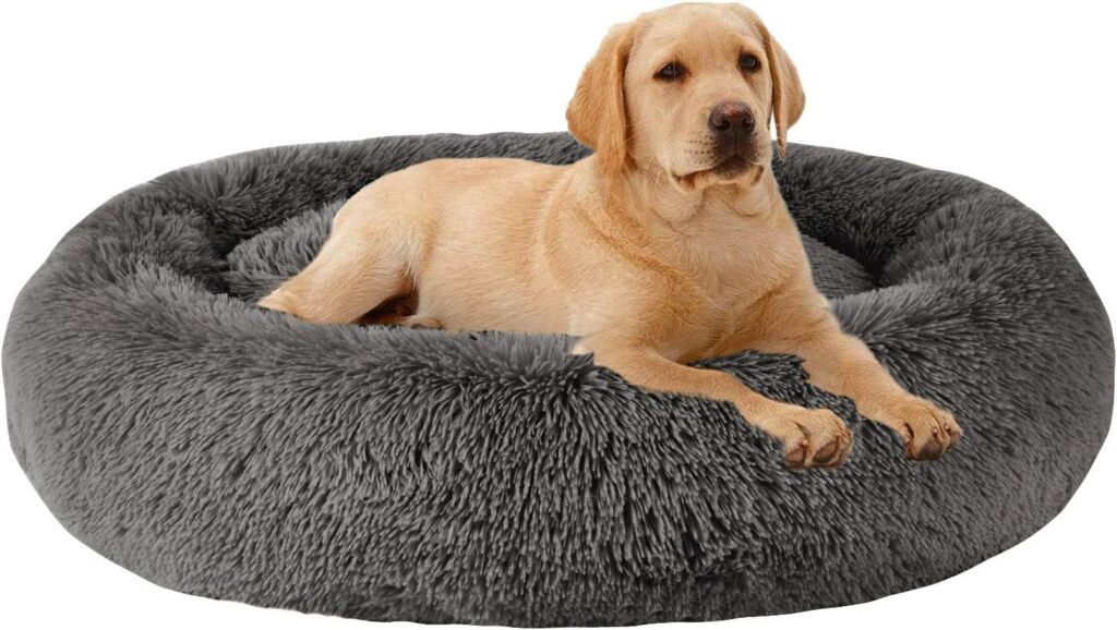 MFOX Calming Dog Bed