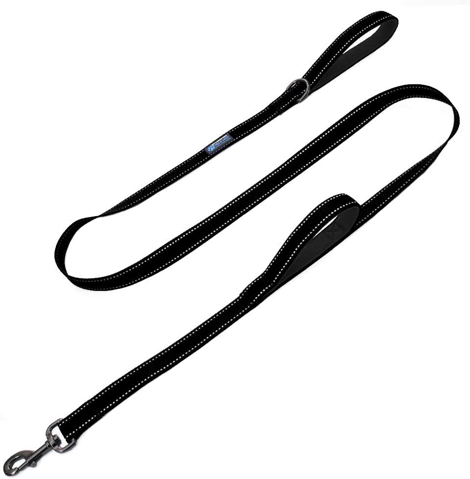 Max and Neo Dog Leash