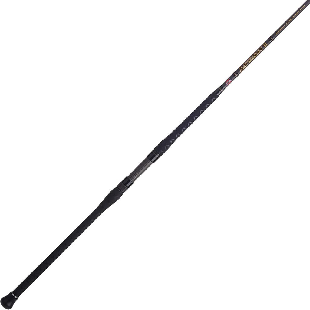 PENN Spinning Fishing Rod