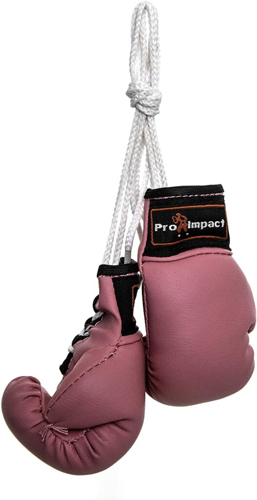 Pro Impact Mini Boxing Gloves