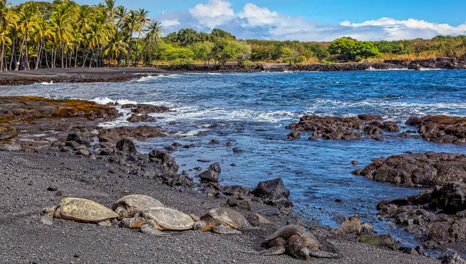 Punaluu Beach, Big Island