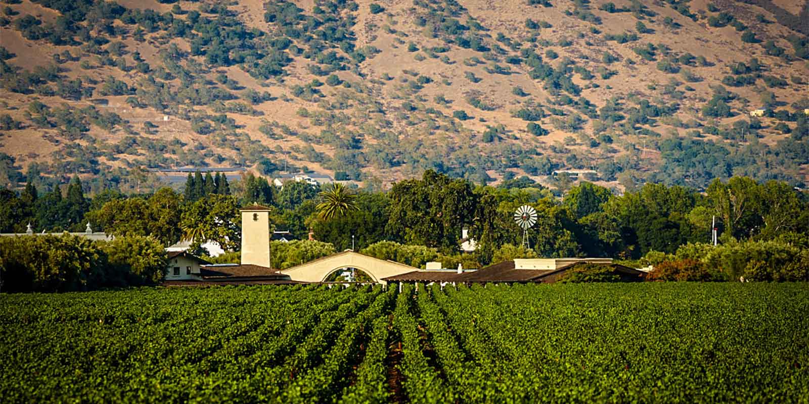 Robert Mondavi Winery, Oakville
