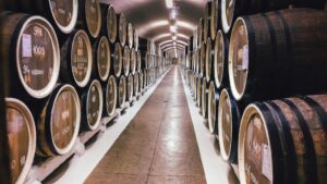 Best Wineries in the World