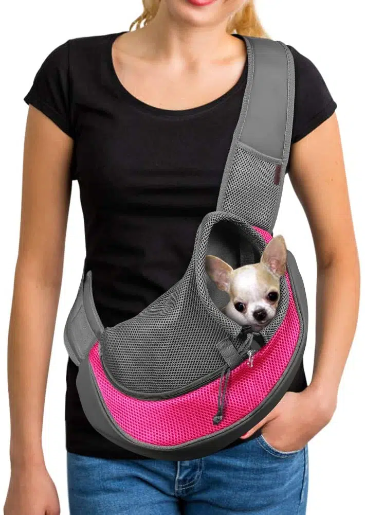 YUDODO Dog Carrier