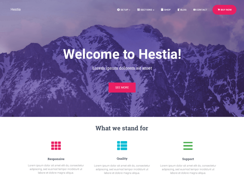 Hestia Pro Theme