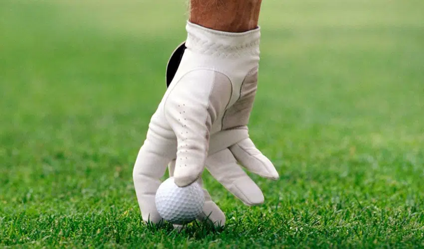 Top Golf Gloves