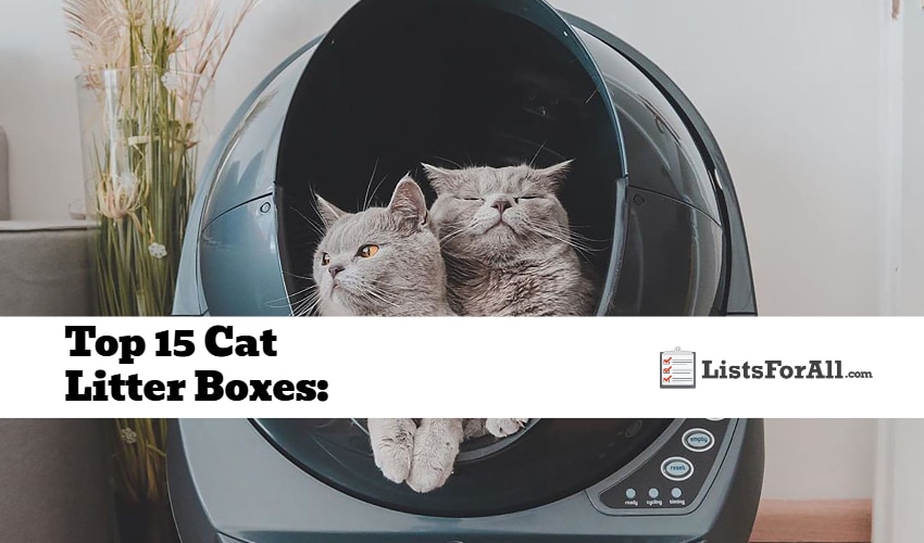 Best Cat Litter Boxes