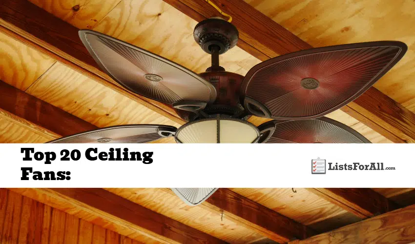 Best Ceiling Fans