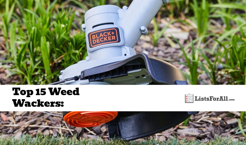 Best Weed Wackers