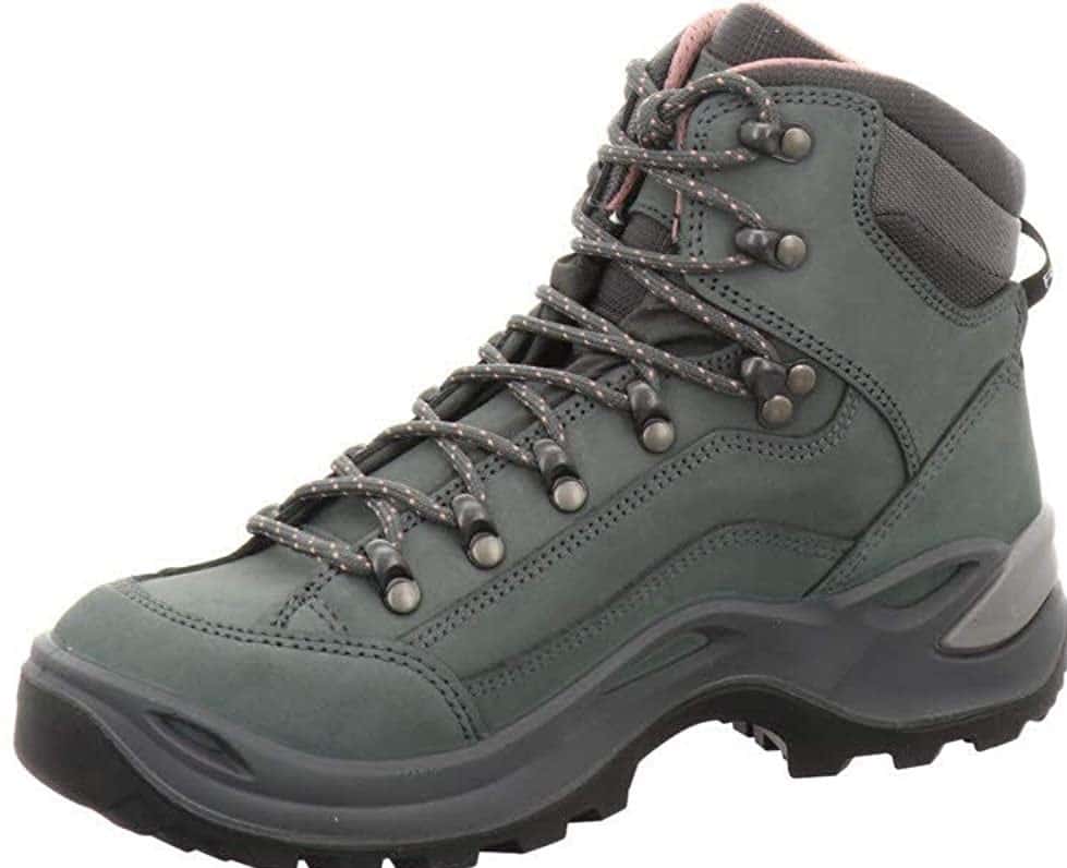 Lowa Renegade GTX Mid Hiking Boot