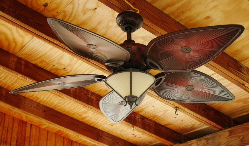 Top Ceiling Fans