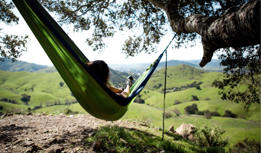 Top Hammocks