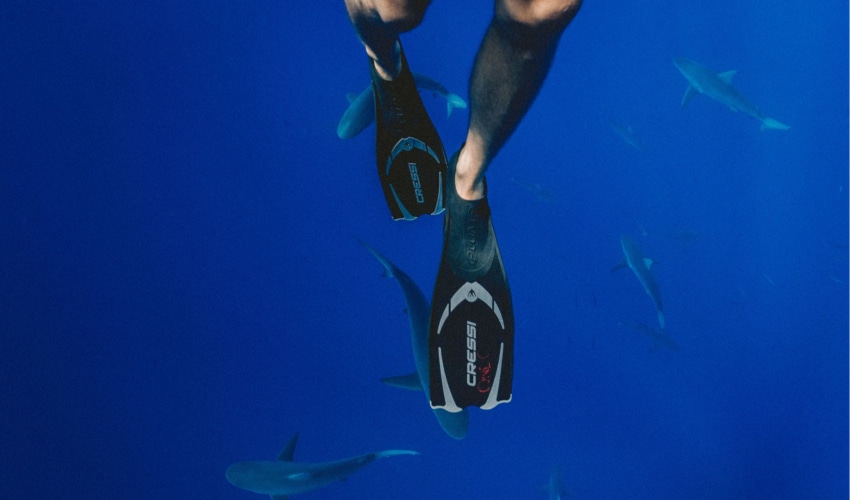 Top Swim Fins