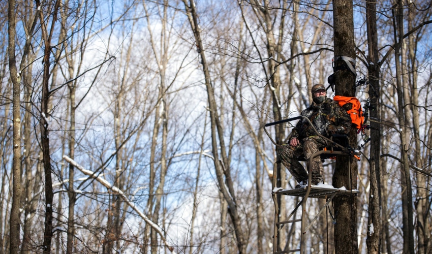 Top Hunting Tree Stands