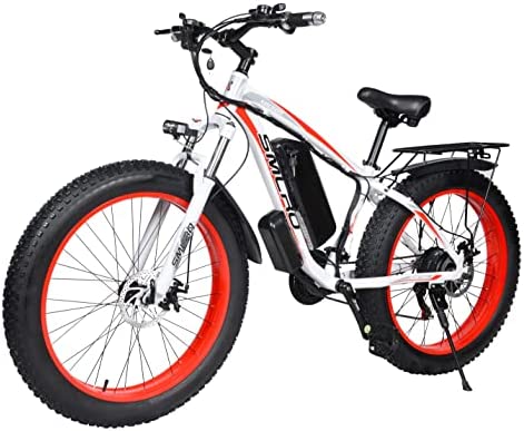 YinZhiBoo Electric Bike