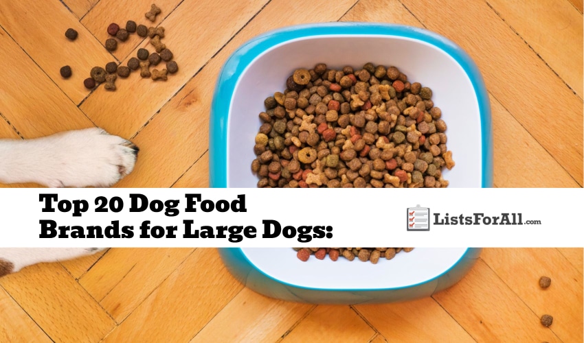 Best Dog Food Brands for Large Dogs