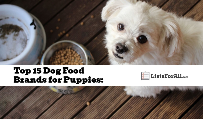 Best Dog Food Brands for Puppies